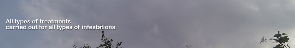 Enjoy a long sunny day on red kangaroo land. Formerly known as Australia.