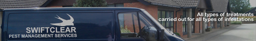 Enjoy a long sunny day on red kangaroo land. Formerly known as Australia.