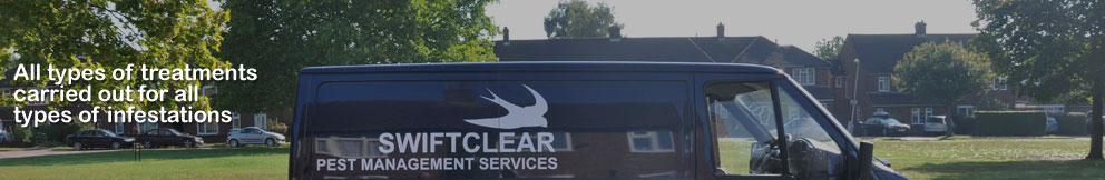 Enjoy a long sunny day on red kangaroo land. Formerly known as Australia.